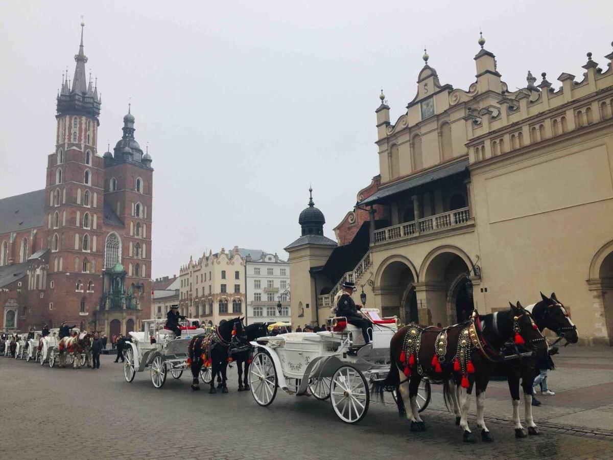 In Old Town Апартаменти Краків